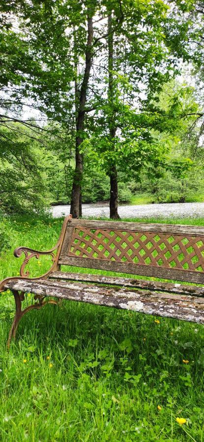 Le Gite De L'Ecurie Forges-la-Foret エクステリア 写真